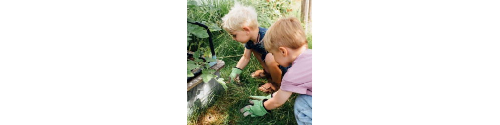 Blog biologisch eten