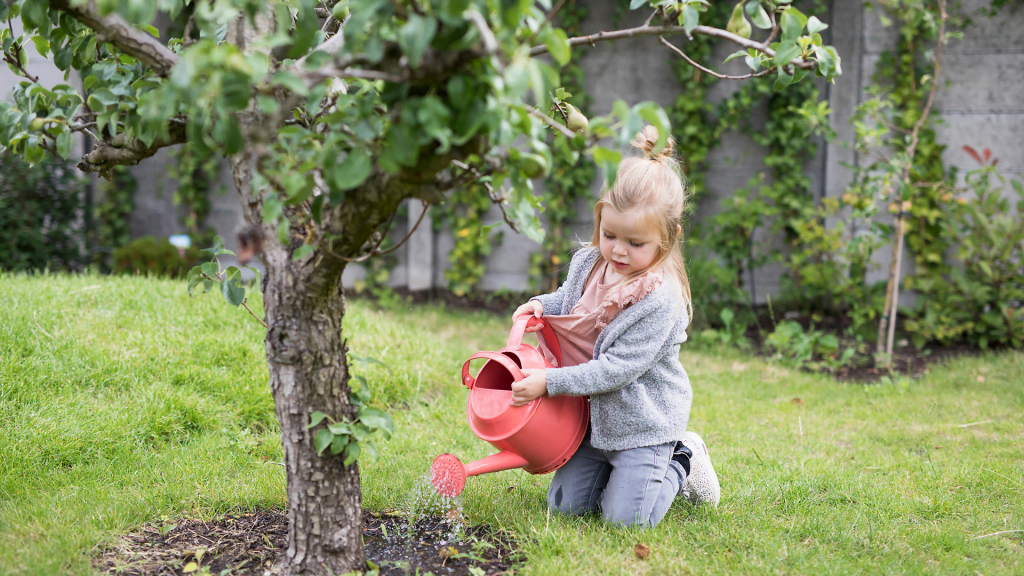 planten watergeven